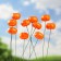 Set of plugs "Pumpkin" 10pcs, 3cm, length 25cm