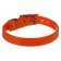 Biotan collar, 20-24 x 1.2 cm, orange