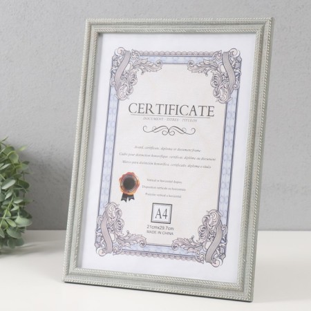Photo frame Plastic format A4 "Double Spit" Gray 23.4x32.1x1.1 cm-1