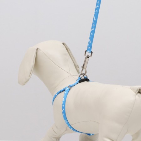 Set "Classic", Kapron, leash 120 x 1 cm, fire 21-35 cm, blue-7