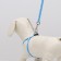 Set "Classic", Kapron, leash 120 x 1 cm, fire 21-35 cm, blue