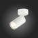 Ceiling lamp ST LUCE. ST303.502.01. 1x50 W, GU10, 10x5.4x16.8 cm, white color