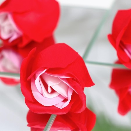 Soap roses, three -color, set of 6 pcs.-4