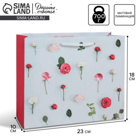 Gift Laminated Horizontal Package, Packaging, “You are Beautiful”, MS 18 x 23 x 8 cm