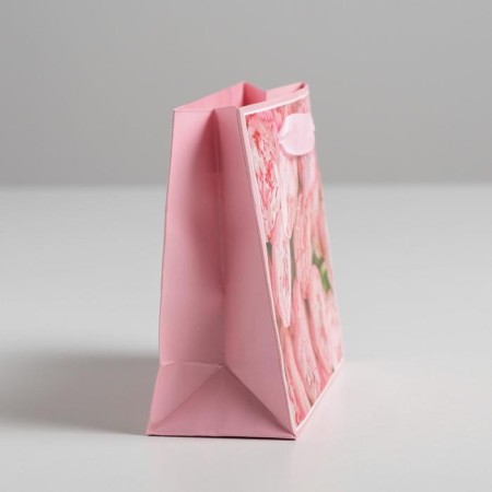 Gift Laminated Horizontal Package, Packaging, For You, S 15 x 12 x 5.5 cm-1