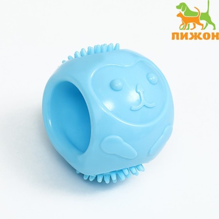 Dog toy "Hedgehog", TPR, massage, 6.5 cm, blue