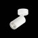 Ceiling lamp ST LUCE. ST303.502.01. 1x50 W, GU10, 10x5.4x16.8 cm, white color