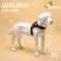 Shleka K7 soft reflective, size XL, OG 74-92 cm, weight 28-47.5 kg, red