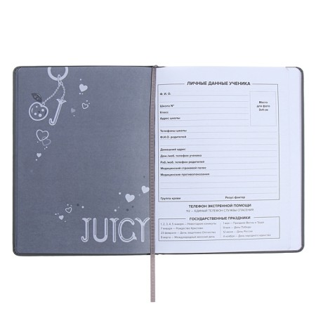 Universal Grade 1-11 Diary, 48 JIUCY sheets, firm artificial leather cover, foil embossing, pancake embossing, rhinestones, liesse-6