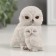 Polystone souvenir "White Owl with a hodger" 8x6x8.5 cm