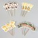 Sapers "Safari", in a set of 12 pieces