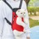 A backpack of cats for cats and dogs "Kangaroo", 35 x 25 x 20 cm, size S, red