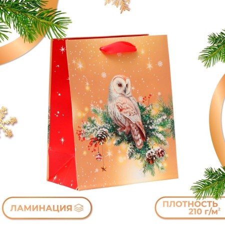 Gift package "Owl", 18 x 22.3 x 10 cm