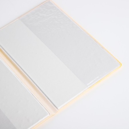 Cover for passport, yellow color-5