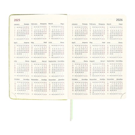 Dated diary of 2025, A5, 168 sheets, DEVENTE. Barbara, a solid cover of leatherette with foam, perforation, liesse, block 70, green-10