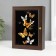 Key of the "butterfly" 16x21 cm Wenge
