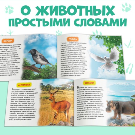 Educational books set 6 pcs. "We learn about everything around", 108 animals and birds-3