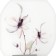 Sconces "Flowers" LED 6W 4000k white 24x6x24 cm