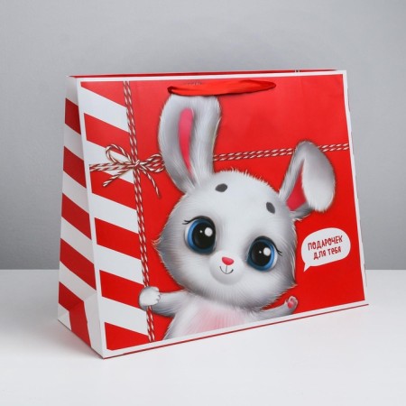 Gift package laminated, packaging, “package”, XL 49 x 40 x 19 cm-1