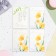 Set of mini -postcard "Flowers - 1" Pink background, 33 pieces, 7.5x10.5 cm