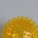 Massage "Miracle-jacket", d = 6 cm, color mix