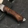 Caucasian knife, tourist "Golden Eagle" with scabbard, steel - 40x13, handle - nut, 14.5 cm
