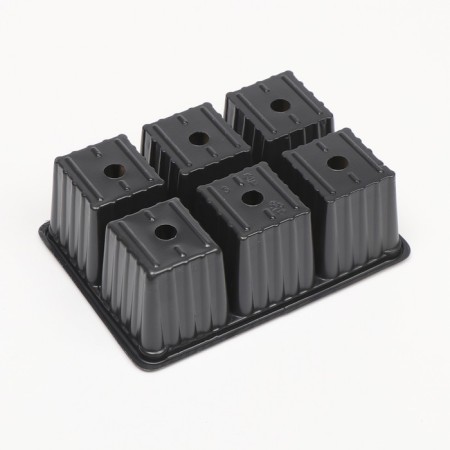 Cassette for seedlings, 6 cells of 120 ml, set of 5 pcs., Black-3