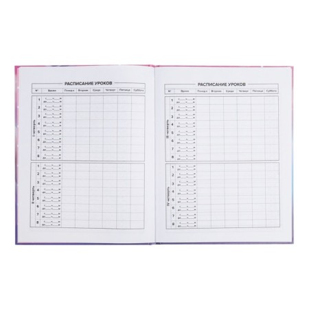 School diary for grades 1-11, 48 sheets "Alice", hard cover, selective pearl varnish, foil embossing, matte lamination, universal cheat sheet, block 65g/m2-6