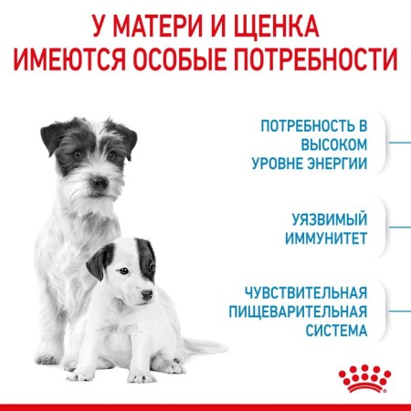 Сухой корм RC Mini Starter Mother & Babydog для щенков, 1 кг-2