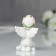 Souvenir Polystone "Angel in a wreath of roses in prayer" MIX 6x4x2.6 cm