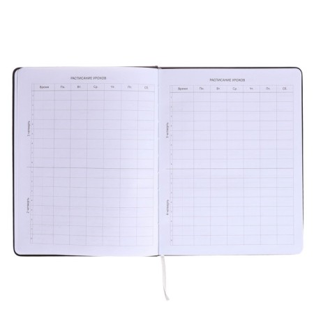 Universal diary for grade 1-11 Kitties, hard cover, artificial leather, silk-screen printing, Lyasse, 80 g/m2-4