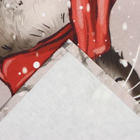 Set Gift Ethel "Snow Cat": kitchener 40x73cm, take 17x17cm; cotton 100%,-2