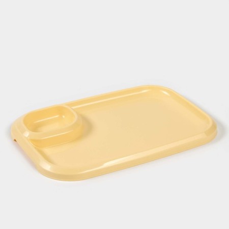 Shane-saucetic skeleton 30.3x21x2.5cm, light-beige color