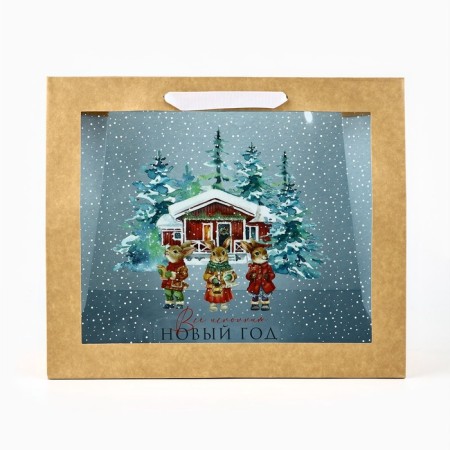 New Year's Craft gift package with a plastic window “Make a desire”, 31 x 26 x 11 cm, New Year-1