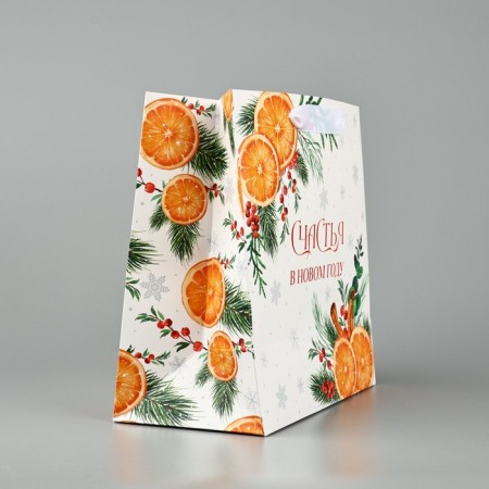 Package Gift New Year's laminated square "Happiness in the New Year", 22 x 22 x 11 cm, New Year-2