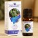 Eucalyptus essential oil, a bottle of boiler, annotation, 10 ml, disinfecting