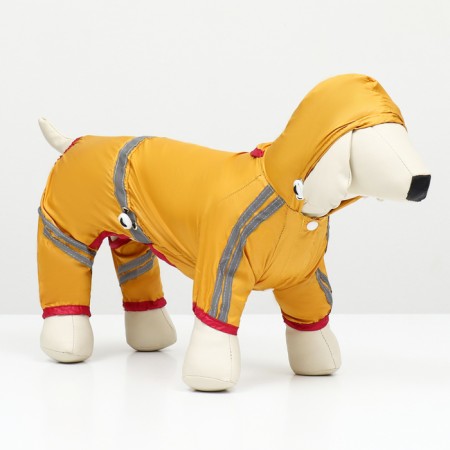 Dog ovens, demi-season, size 2hl (DS 34-36, OG 51-53, Osh 39-41 cm), yellow-1