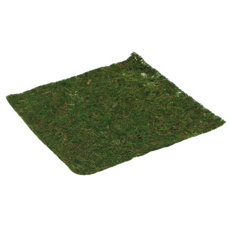 Natural moss sheet Blumentag 30 cm-2