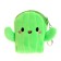 Cactus wallet, species mix