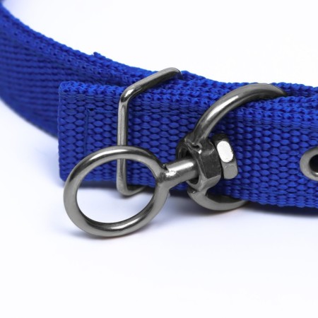 Two -layer collar with a swivel 55 x 2.5 cm, polyester, blue-3
