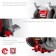 SH-150, 220 V, 200 W, 2950 rpm, 2950 bbs, discs 150x12.7x16 mm