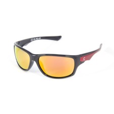 Glasses of Redwood Polarization Players in the case, Grey With Yellow Revo Lenses