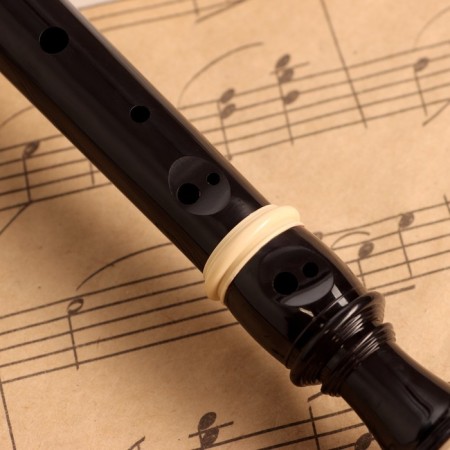 Music Life Blockflate, 8 holes, black cover, ramrod, 30 cm-3