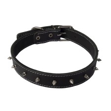 Collar with spikes leather double 2 cm, Osh 27-3.5 cm.