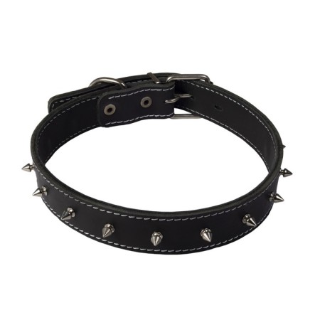 Collar with spikes leather double 2 cm, Osh 27-3.5 cm.