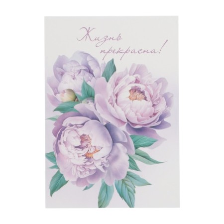 Set of mini-postcard "Flowers" 7.6 x 10.6 cm-9