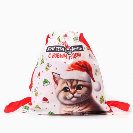 Children's bag "Kit in a hat", 35 × 30 cm, New Year's-4