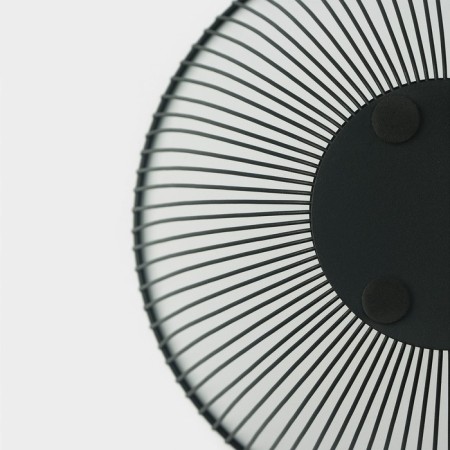 Dilyana fruit, 24.5 × 24.5 × 14 cm, black color-3