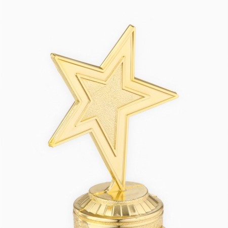 Cup Award Figure: Star of a cast “Golden Teacher” gold, plastic, 16.5 x 6.3 cm.-4