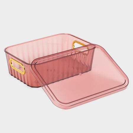 Storage container with a lid "City", 25.5 × 18 × 8 cm, color mix-5